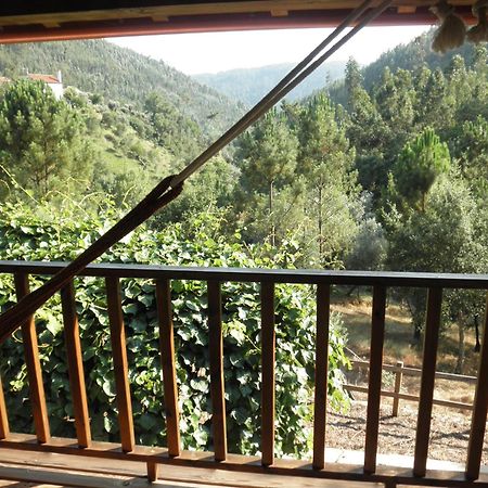 Casa Velha Villa Figueiro Dos Vinhos Kültér fotó