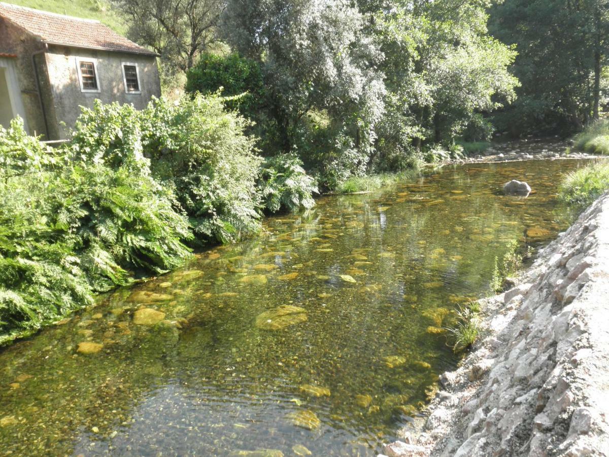 Casa Velha Villa Figueiro Dos Vinhos Kültér fotó