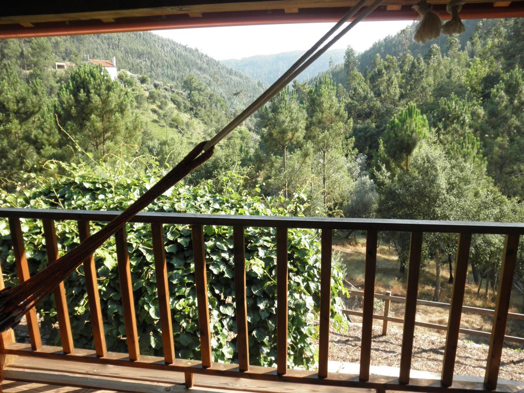 Casa Velha Villa Figueiro Dos Vinhos Kültér fotó