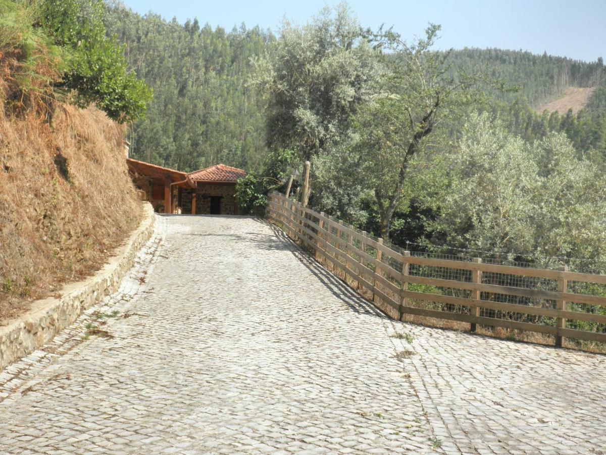 Casa Velha Villa Figueiro Dos Vinhos Kültér fotó