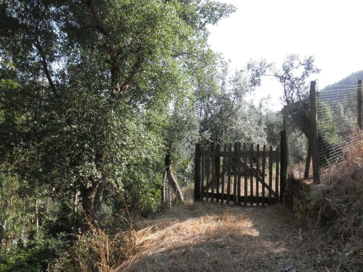 Casa Velha Villa Figueiro Dos Vinhos Kültér fotó