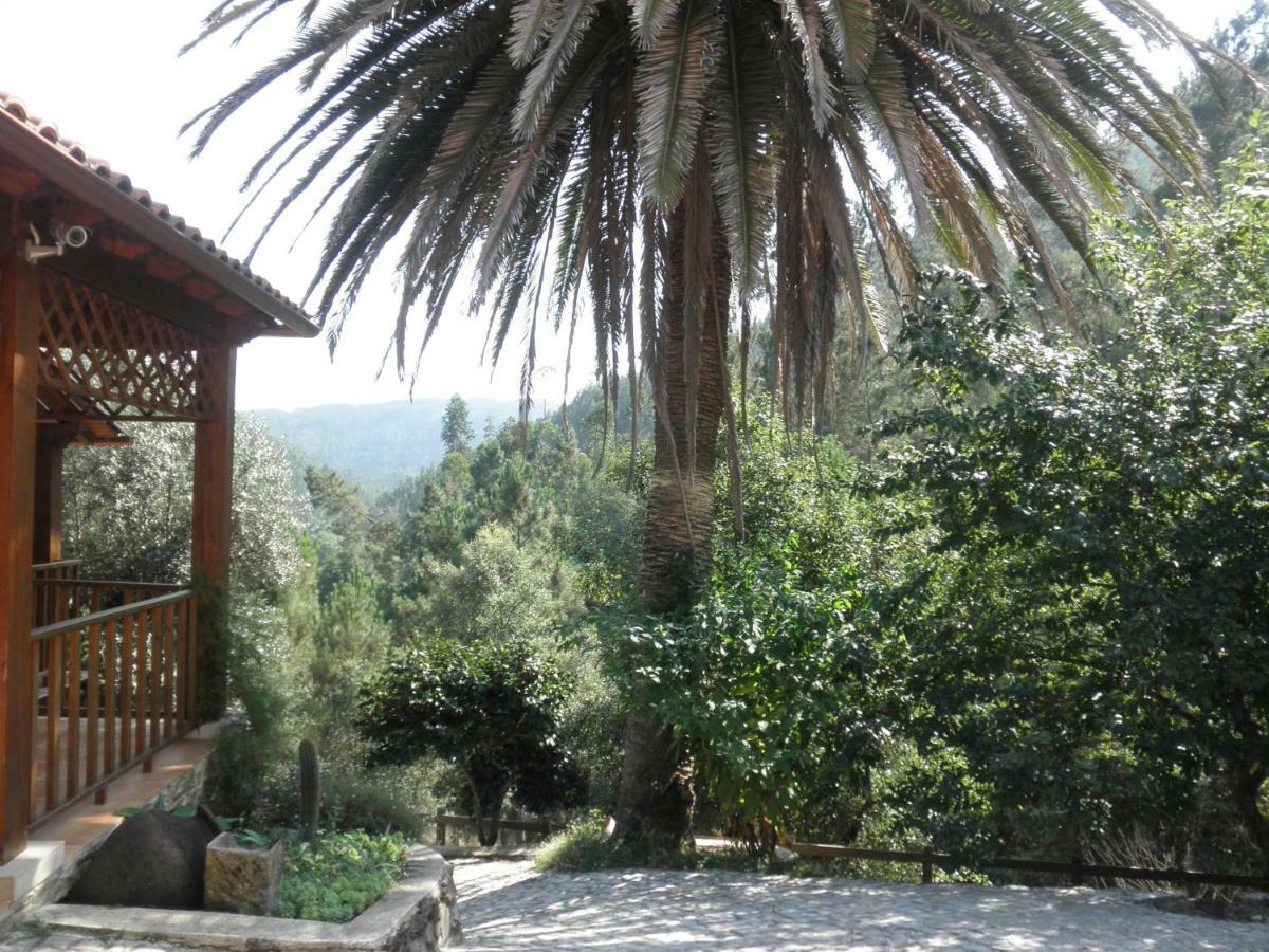 Casa Velha Villa Figueiro Dos Vinhos Kültér fotó