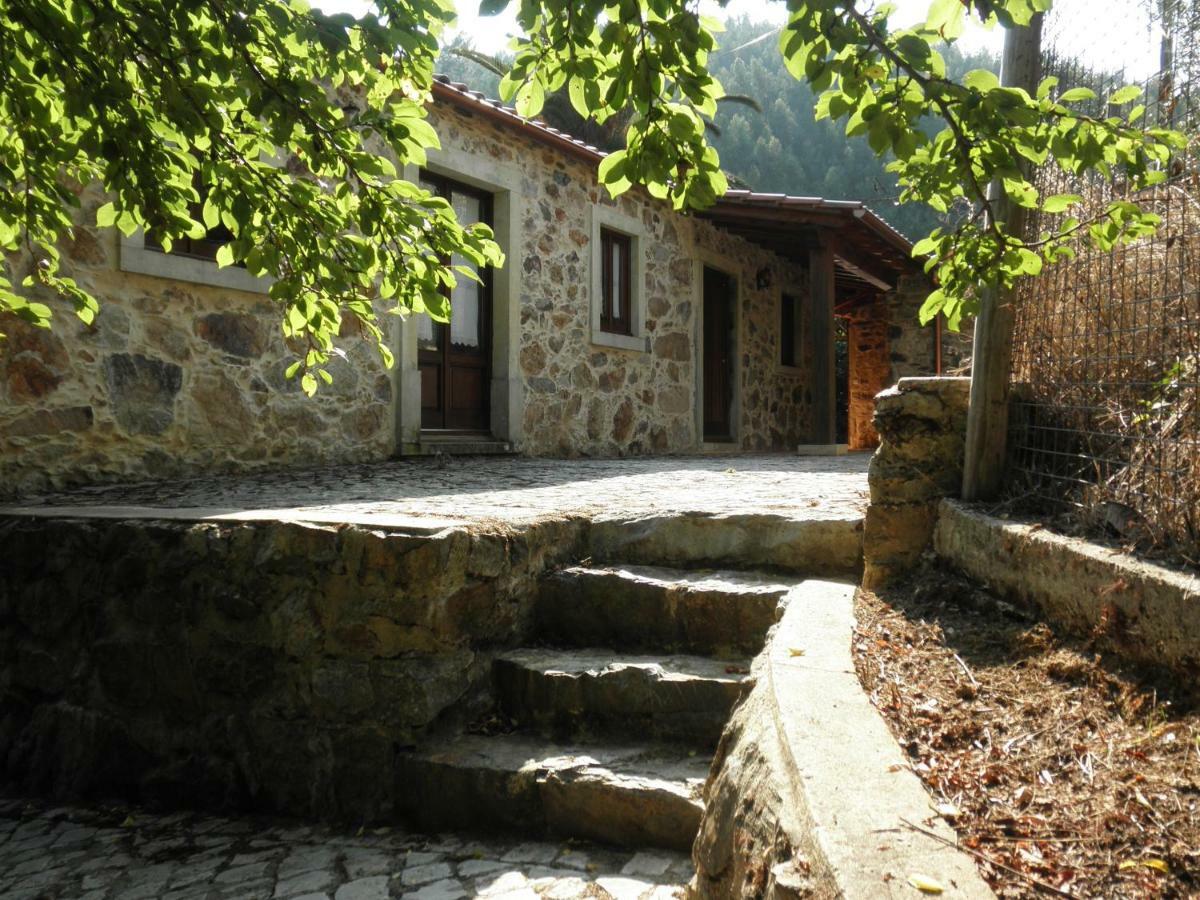 Casa Velha Villa Figueiro Dos Vinhos Kültér fotó